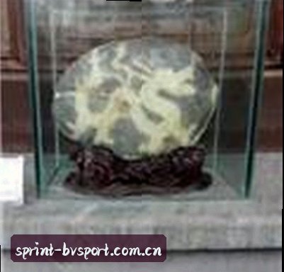 王涛