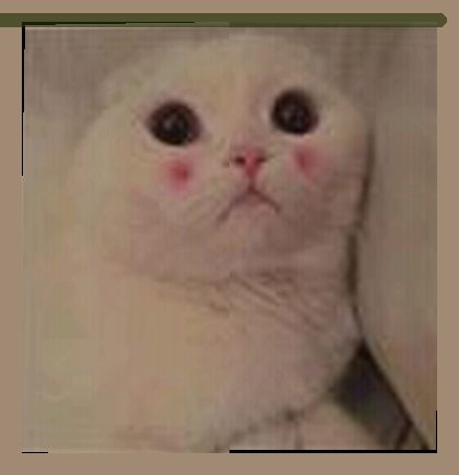 刘洋